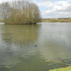 Etang De La Broce