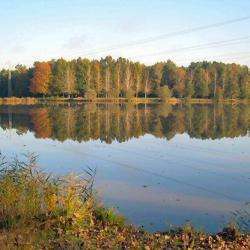 Etang De La Chesnaie