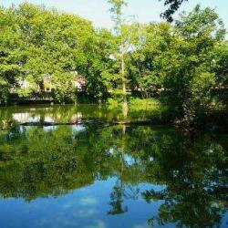 Etang De Maison Rouge
