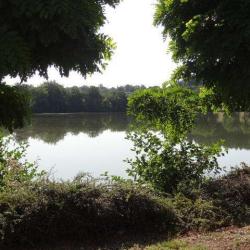 Etang De Marrault