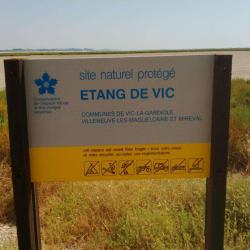 Etang De Vic