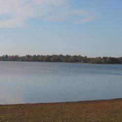 Etang De Vioreau