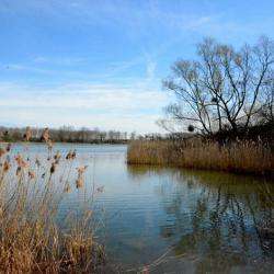 Etang Du Corra