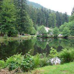 Etang Du Coucou