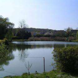 Etang Du Moulin