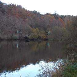 Etang Du Moulin Neuf