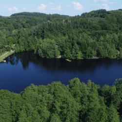 Etang La Jarrige