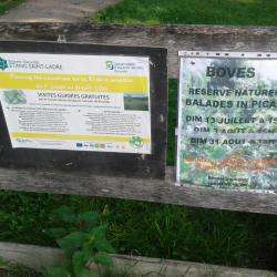Etangs De Boves