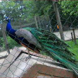 Etangs De Fouchy