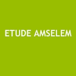 Etude Amselem