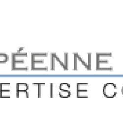Européenne De Conseil Euro Lyon