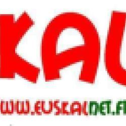 Euskalnet, Agence Web