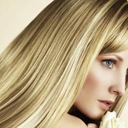 Evasion II Coiffure