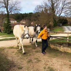 Evenement Du Tact Equestre