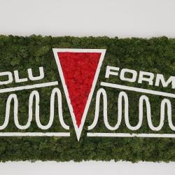 Evolu-formes