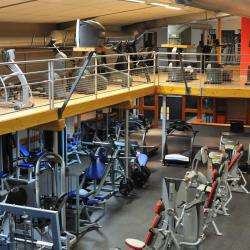 Evolution Gym