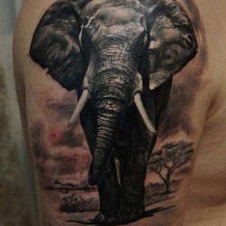 Excess Tattoo Piercing Montpellier