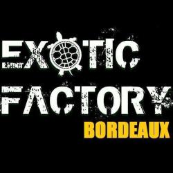 Exotic Factory