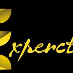 Experctive