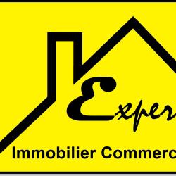 Expert Immobilier