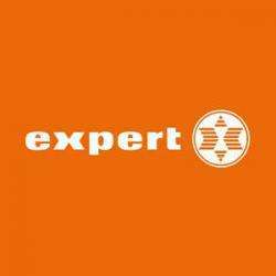 Expert