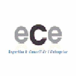 Expertise Et Conseil De L'entreprise