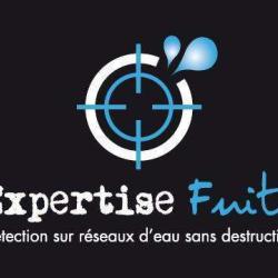 Expertise Fuite