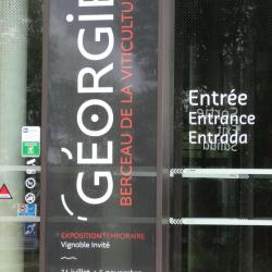 Expo Géorgie Berceau De La Viticulture