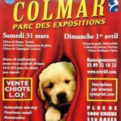 Exposition Canine Internationale