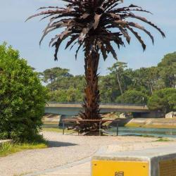 Exposition De Sculptures Monette Loza