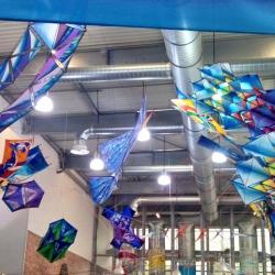 Exposition Les Cerfs Volants