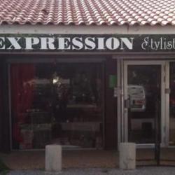 Expression Coiffure