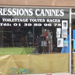 Expressions Canines