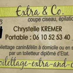 Extra And Co