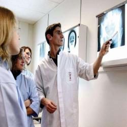 Faculté Libre D'etiopathie De Paris