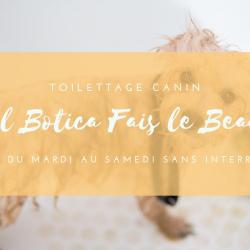 Fais Le Beau