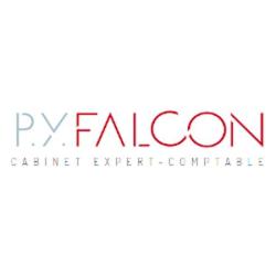 Falcon Pierre-yves