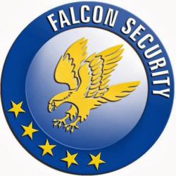 Falcon Security