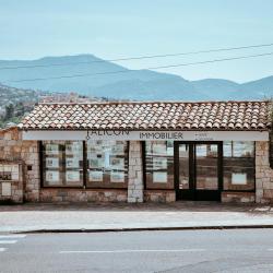 Falicon Immobilier