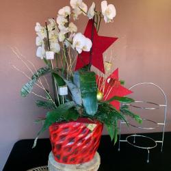 Famille Touchard - Fleuriste Arnage