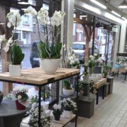 Fanny Fleurs