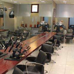 Fashion Coiffeur Afro / Cheveux Frisés