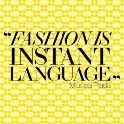 Fashion Gallery