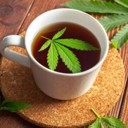 Fast Cbd Shop Compiègne | Livraison Express Ouvert Cbd Sur Compiègne