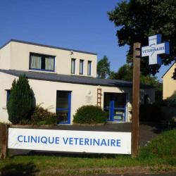 Faure Christine