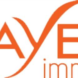 Fayet Immo