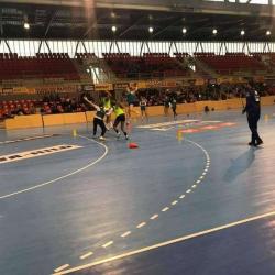 Fc Mulhouse Handball