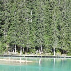 Fédération De Savoie Pour La Pêche
