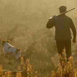 Federation Des Chasseurs De Savoie