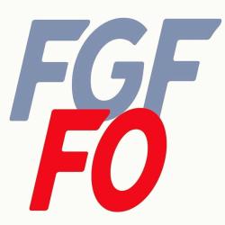 Fédération Générale Des Fonctionnaires Force Ouvrière
